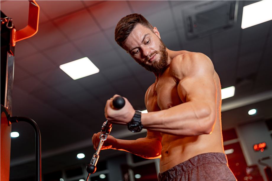 trening siłowy 