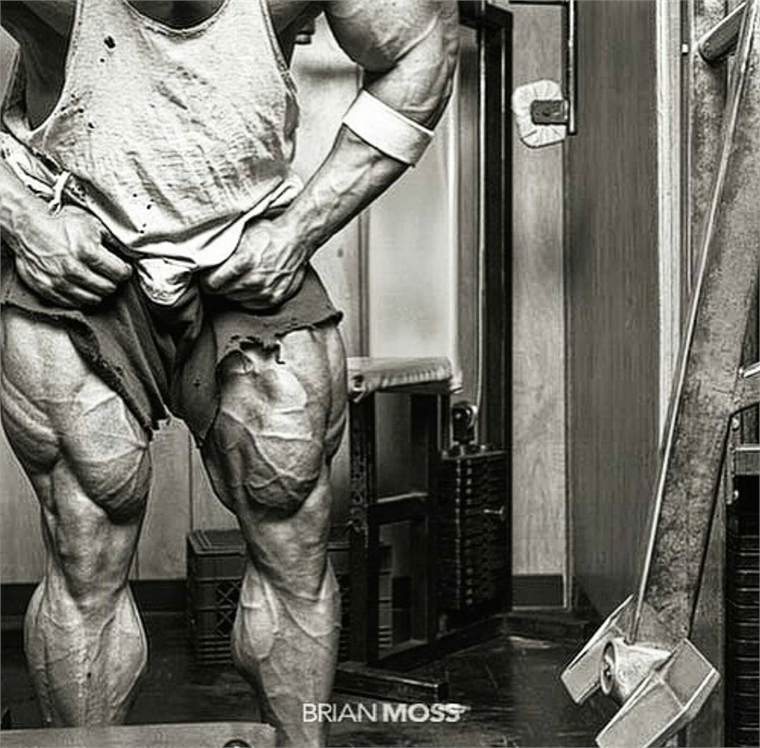 Frank Defeo Bodybuilder